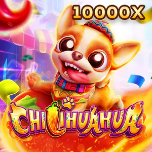 Hình ảnh Fachai Chihuahua